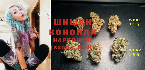 МДПВ Алзамай