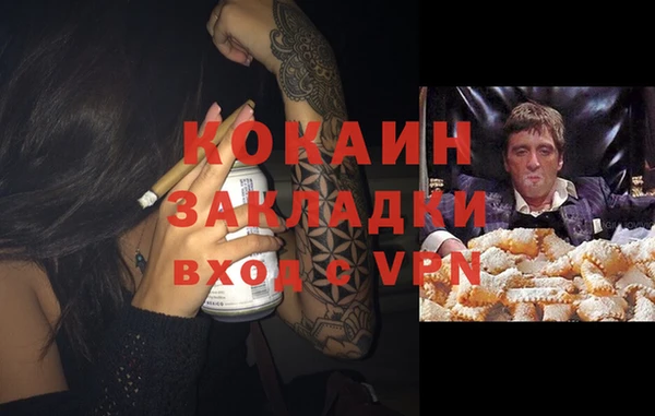 МДПВ Алзамай