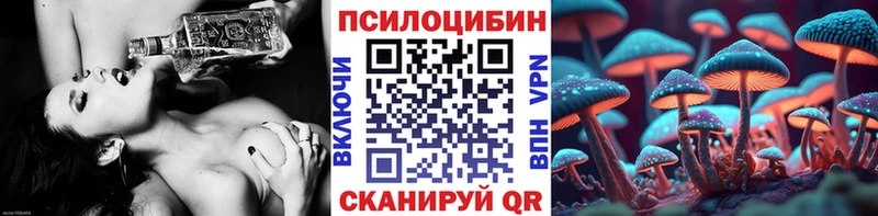 купить закладку  Березники  Галлюциногенные грибы Cubensis 